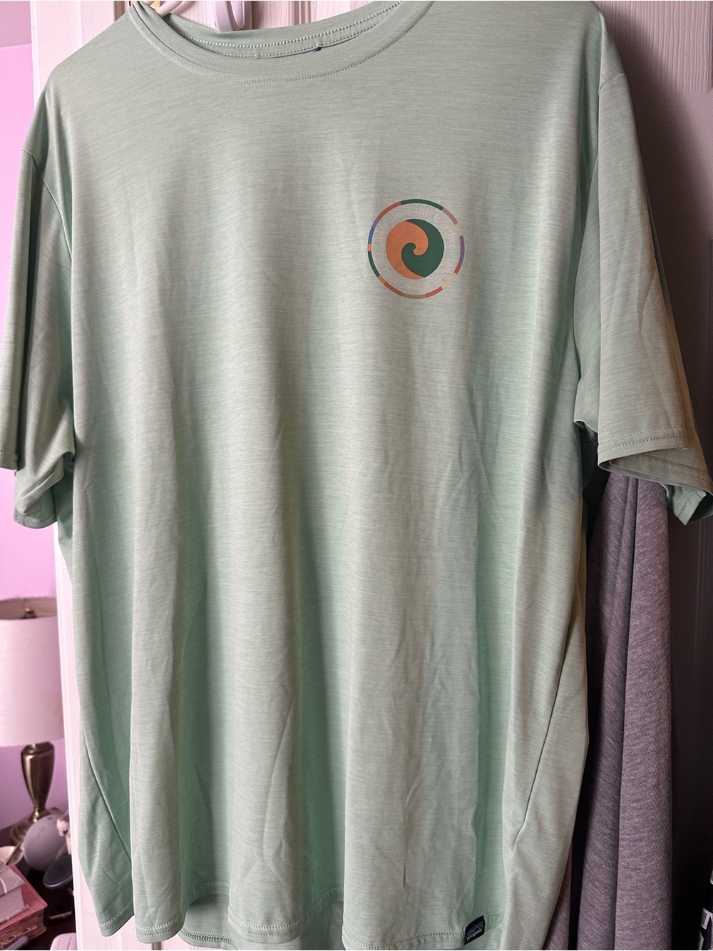 Patagonia Mint Green Short-Sleeve Graphic Tee